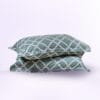 Sage Premium Vector Pillow Cover